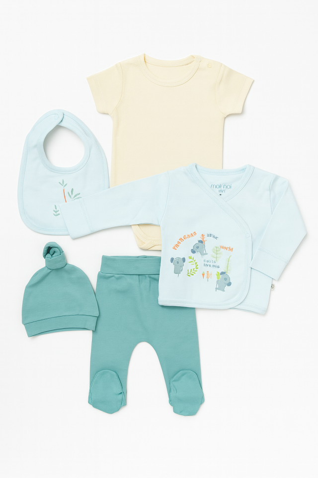 Erkek Bebek Kutulu Koala 5'li Set