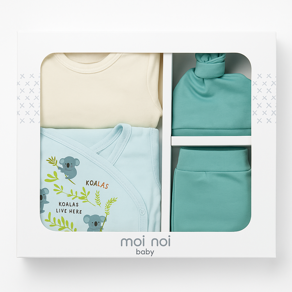 Erkek Bebek Kutulu Koala 5'li Set