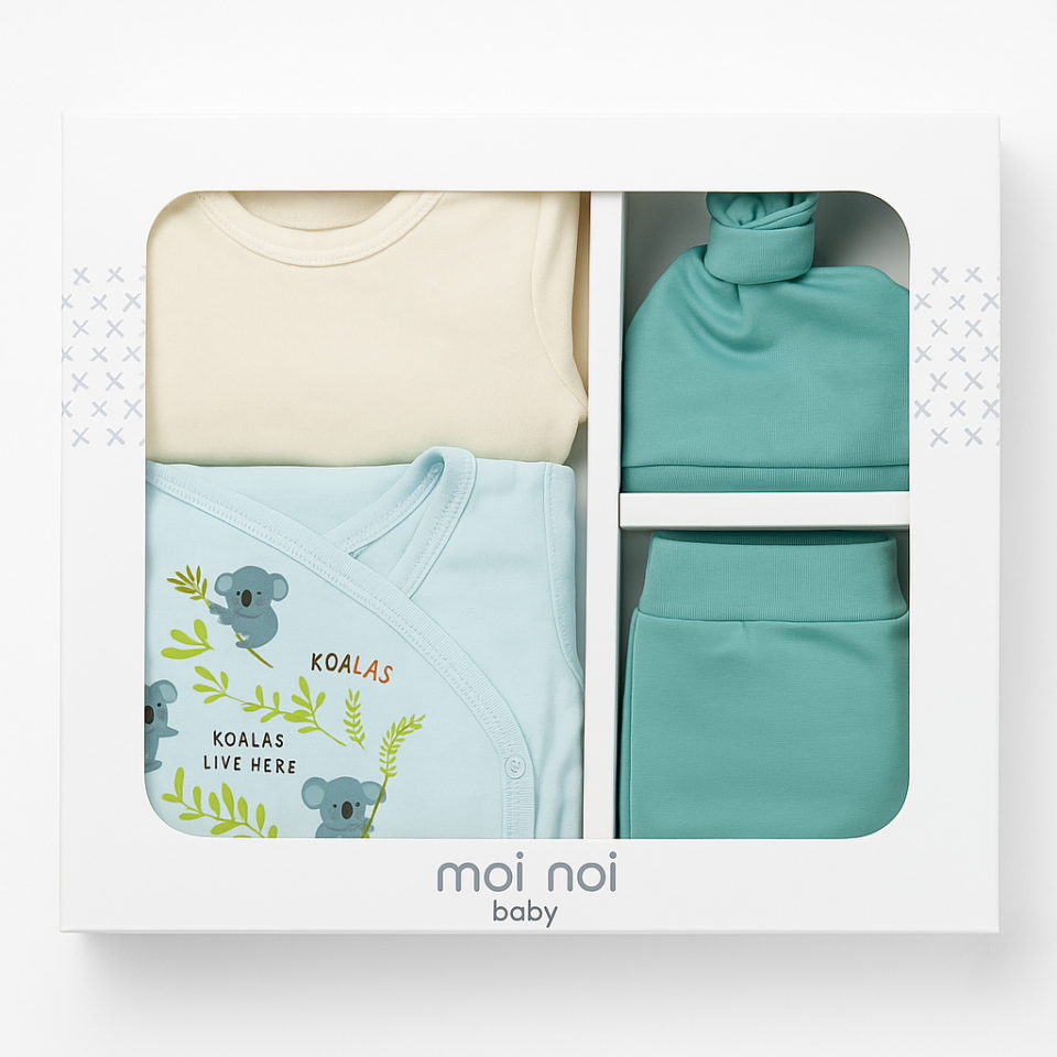 Erkek Bebek Kutulu Koala 5'li Set